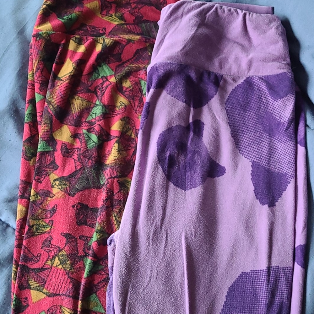 Two OS Bear LuLaRoe Leggings